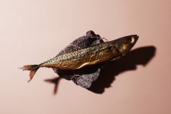 foto restaurant Souvenir